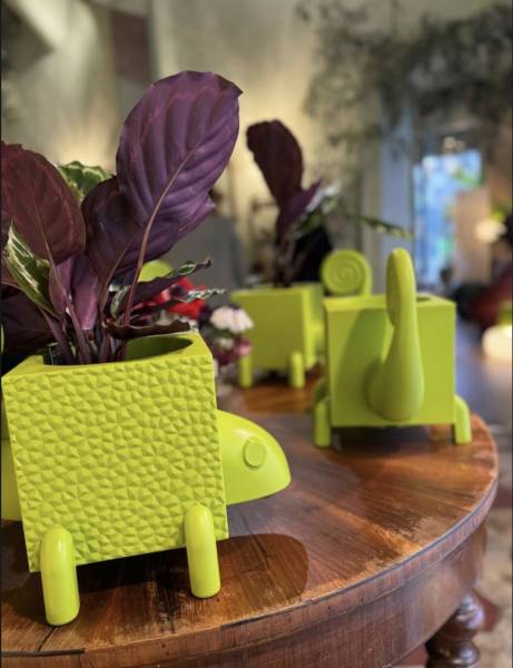 petits pots de fleurs LYXO