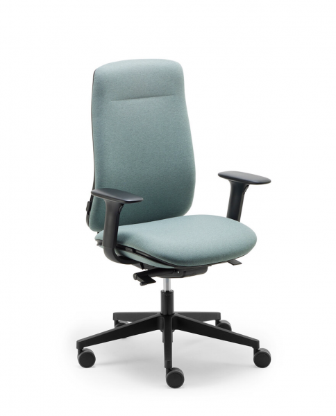 FAUTEUIL ERGONOMIQUE NE FAIT PAS TOUT