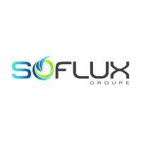 le groupe soflux et la galerie du bureau